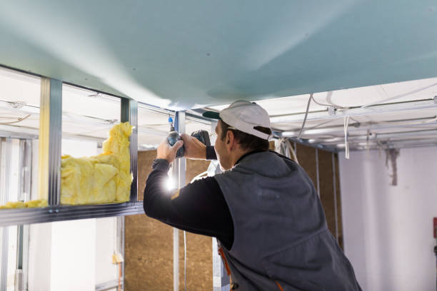 Best Insulation for Specific Applications in Gainesville, FL