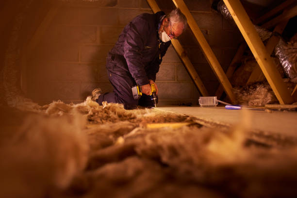 Best Commercial Insulation in Gainesville, FL